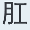 肛