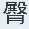 臀